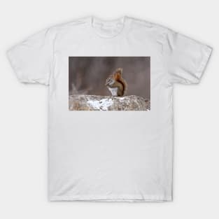 Red Squirrel T-Shirt